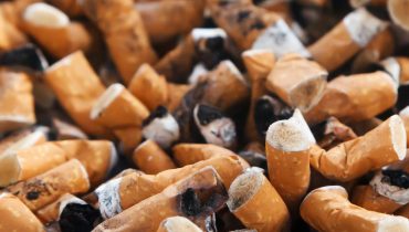 beata cigarro|Caça_Beata_2020 (1)