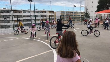 bicicletas pinheiro e rosa (3)