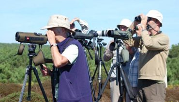 birdwatching_1|Cartaz_fdsAvesMertola2021