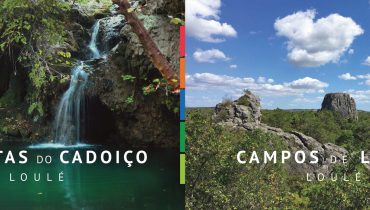 brochuras cadoico