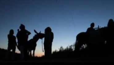 burros ao luar