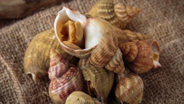 Foto: Depositphotos