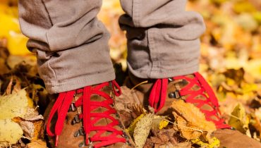 Walking through the autumn leaves|passeio QRER