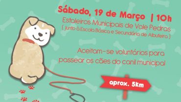 cãominhada|Viviane concerto Entre Amigos