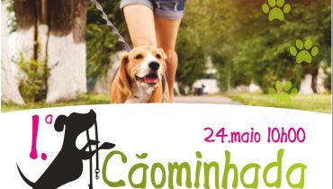 cartaz caominhada cidade de silves