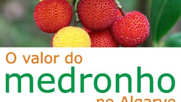 cartaz_seminario_medronho