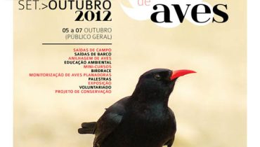 Festival de Observação de Aves de Sagres |Gralha-de-bico-vermelho