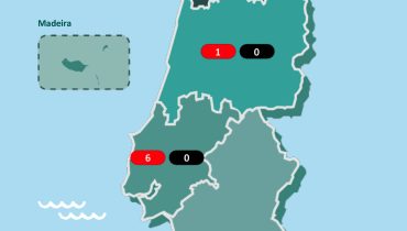 casos em portugal|casos confirmados|numero de casos por data