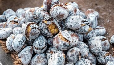 castanhas-1