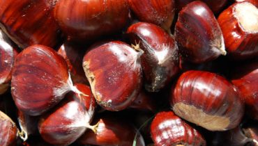 castanhas_2