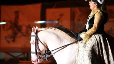 cavalo lusitano_arte equestre_alta escola