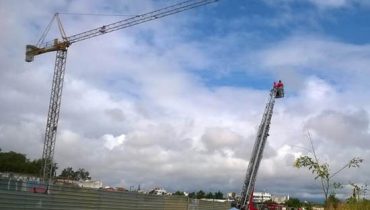 cegonha1|cegonha3|cegonha4|cegonha2