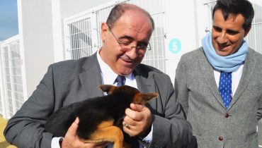 centro recolha animal faro (1)|centro recolha animal faro (2)|centro recolha animal faro (3)|centro recolha animal faro (4)|centro recolha animal faro (5)|centro recolha animal faro (6)|centro recolha animal faro (7)|centro recolha animal faro (8)|centro recolha animal faro