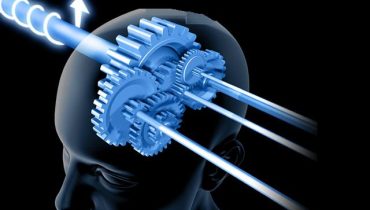 cerebro engrenagem|iScience_correct_size_w_dendrite-01