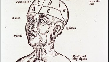 cerebro(3)
