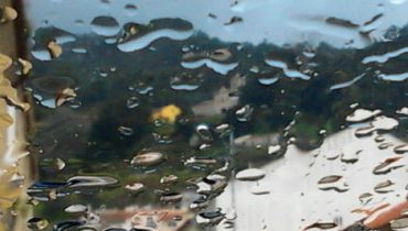chuva anamadeira|estoi queda de arvore