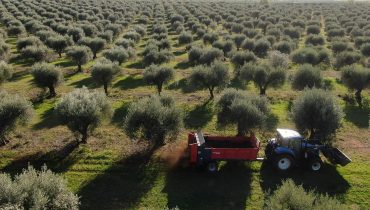 compostagem_3|Alentejo|Amendoal_amendoeiras_alqueva|compostagem_2|compostagem_28