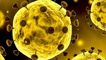 coronavirus 2