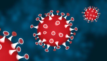 coronavirus covid (12)