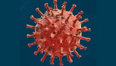 coronavirus covid 19