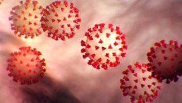 Coronavirus Covid
