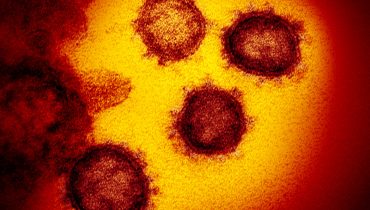coronavirus covid (6)|Mapa dgs 2603|Caracterização casos confirmados5|caracterização óbitos