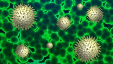Coronavirus Covid19 (3)|matriz de risco 3105|mapa dgs 3105