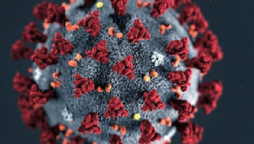 covid19_coronavirus