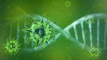 covid19_coronavirus_poligrafo