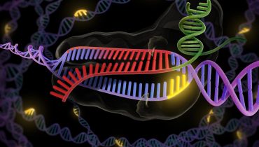 crispr-cas9-enzyme-double-stranded-dna-2157x1348
