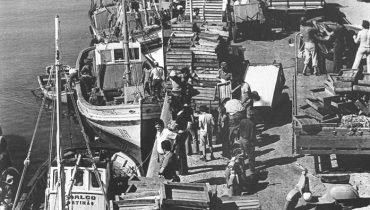 descarga da sardinha