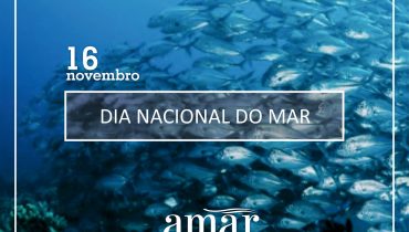 dia nacional do mar drapalg