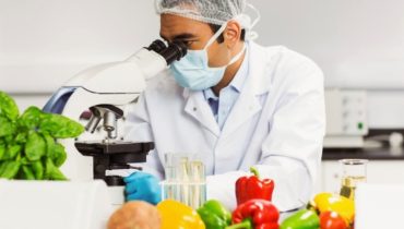 engenharia alimentar|margarida vieira