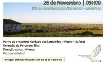estepe e montado