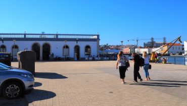 ex-lota de tavira mercado da ribeira (1)|ex-lota de tavira mercado da ribeira