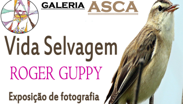 exposição vida selvagem