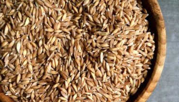 farro e trigo