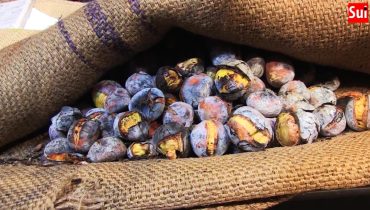 feira de todos os santos_castanhas