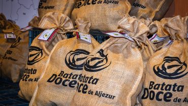 festival batata doce