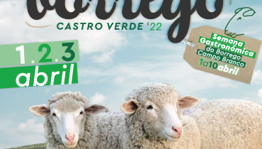 festival borrego