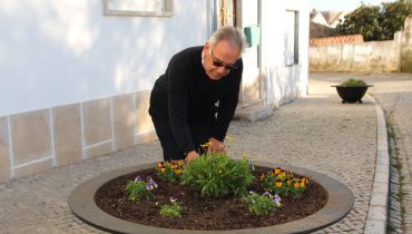 floreiras_padrinhos_SBA2021_2022 (3) (Large)|floreiras_padrinhos_SBA2021_2022 (1) (Large)