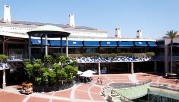 forum algarve faro rd-8