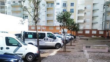 foto_arvores_APera