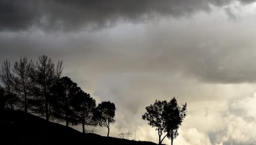 frio