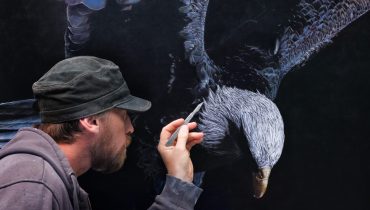 galeria artcatto mark evans