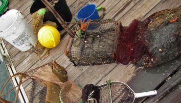 ganchorra ilegal|pesca ilegal