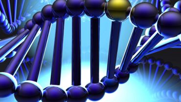 Golden gene in DNA|Paula Duque|imagem ZIFL| Arabidopsis_thaliana_inflorescencias.