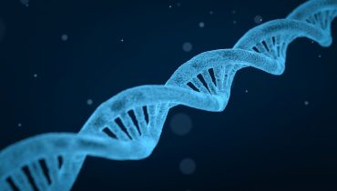 genetica