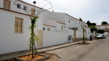 glicinias_cercadopocodaordem (1)