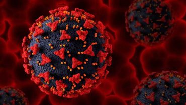 hepatite2
